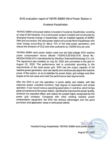 SVG Evaluation Report of